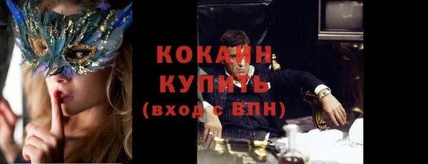 сатива Нестеровская