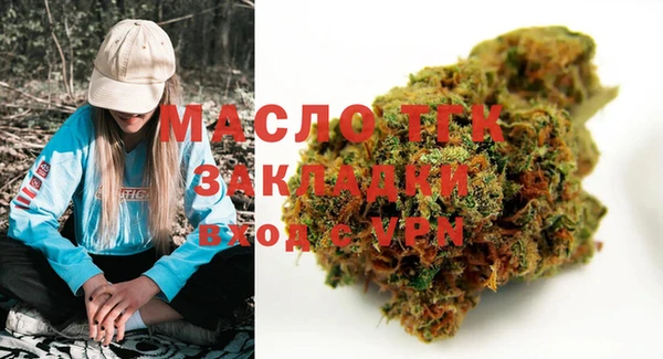 мдпв Краснослободск