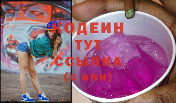 мдпв Краснослободск