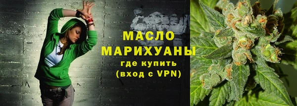 мдпв Краснослободск