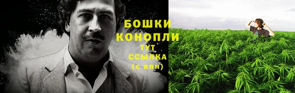 ALPHA PVP Куйбышев