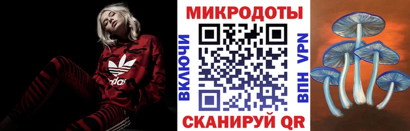 Псилоцибиновые грибы Cubensis купить закладку Петропавловск-Камчатский