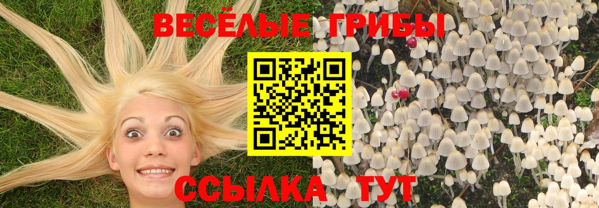 Псилоцибиновые грибы Psilocybine cubensis  Псилоцибиновые грибы Cubensis  Петропавловск-Камчатский  Вход с VPN 